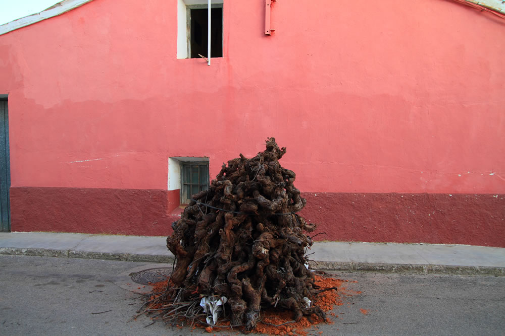 Pequeña hoguera y fondo rosa